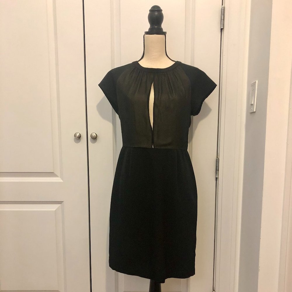 Calvin Klein Illusion Cocktail Dress